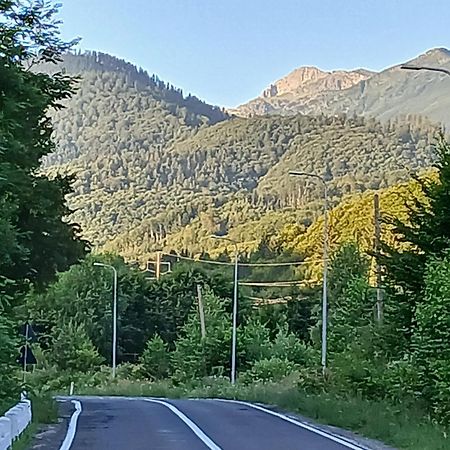 Pensiunea Dates Cîrţişoara Esterno foto