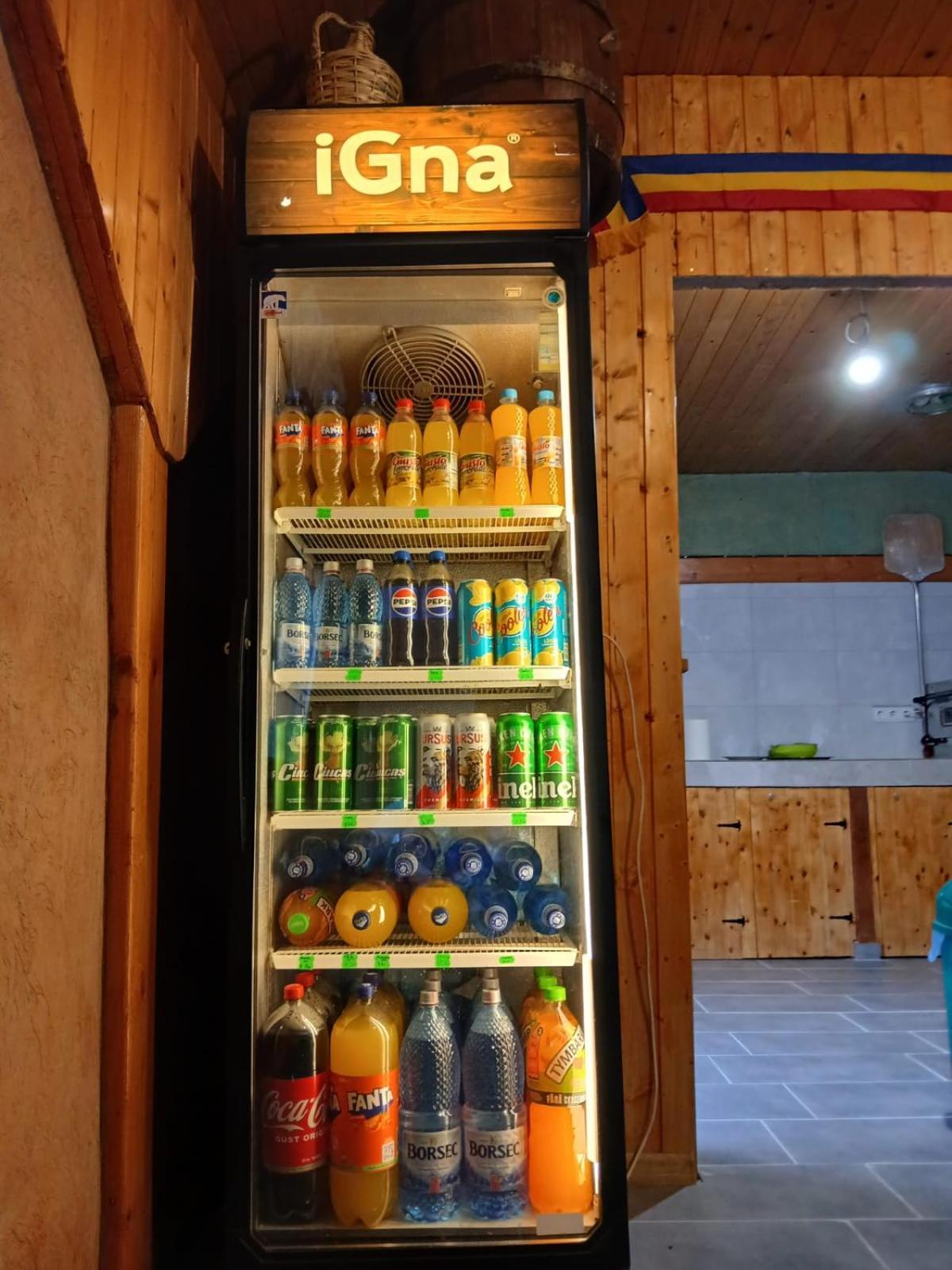 Pensiunea Dates Cîrţişoara Esterno foto