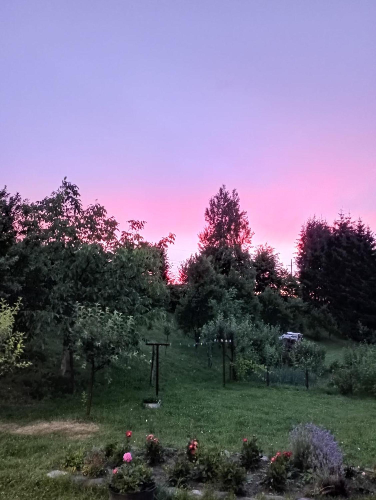 Pensiunea Dates Cîrţişoara Esterno foto